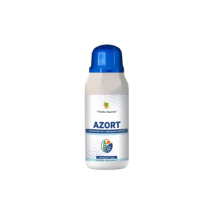 AZORT