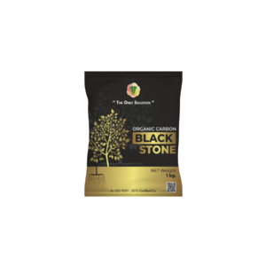 BLACK STONE