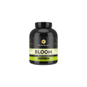 BLOOM