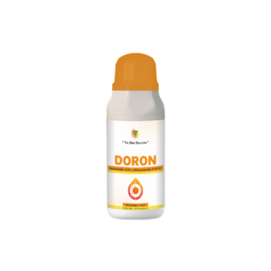 DORON