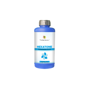 HEXATONE