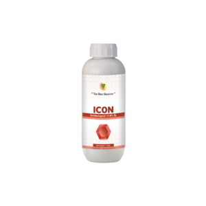 ICON