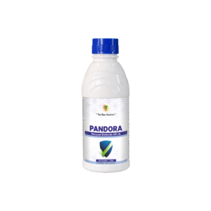 PANDORA