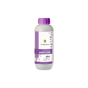 PAVILION