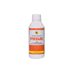 PRIME