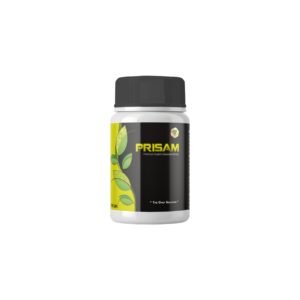 PRISAM