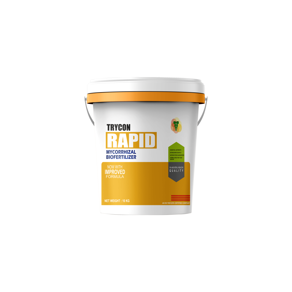 RAPID