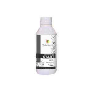 START