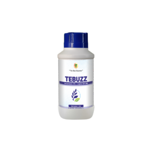 TEBUZZ