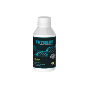 TRYGENE