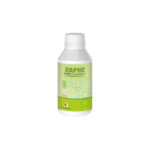 ZAPIC